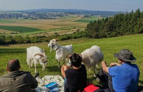 Naturerlebnis mit Kaschmirziegen, © W.I.I.TT