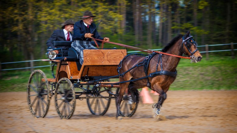 Fahr- und Reitverein Karlstetten, © Gerty Schabas