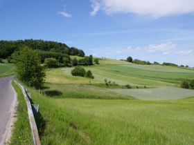 Rundtour 09 - Dunkelsteinerwald, © Donau Niederösterreich Tourismus GmbH